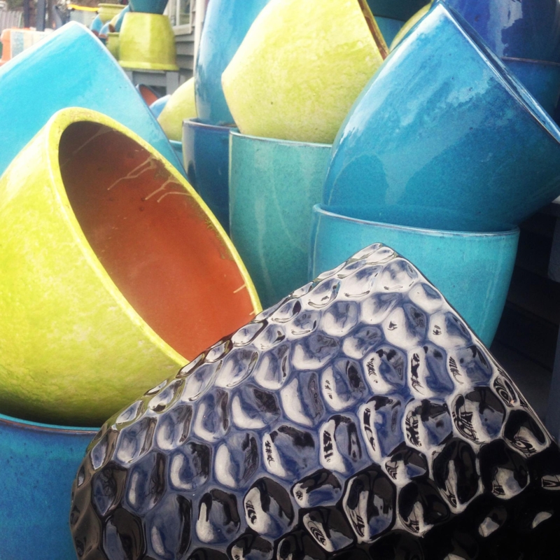 Broadway Gardens Greenhouses Inc. – Helping Gardeners Grow Since 1950